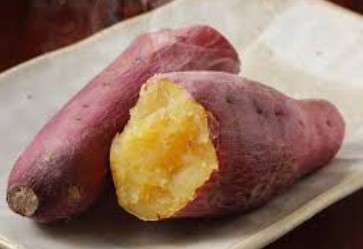 地瓜對狗狗健康的五大益處