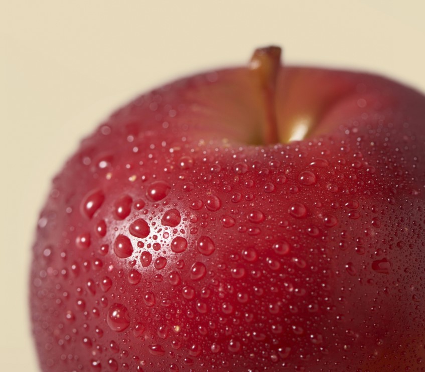 狗狗可以吃蘋果嗎？安全提醒與好處