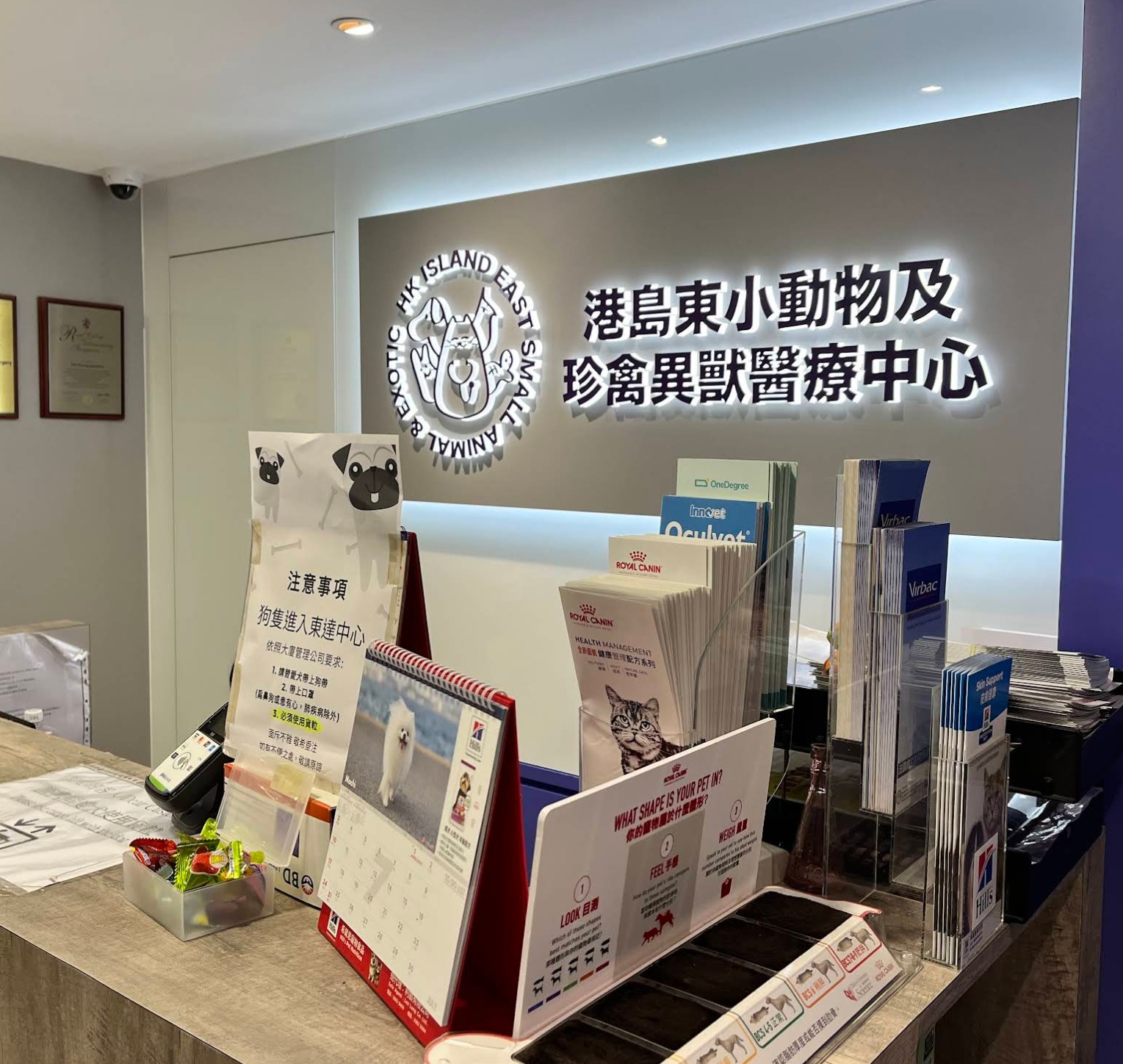 港島東小動物及珍禽異獸醫療中心