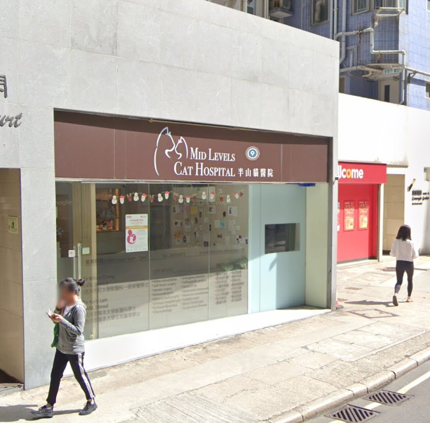 半山貓醫院