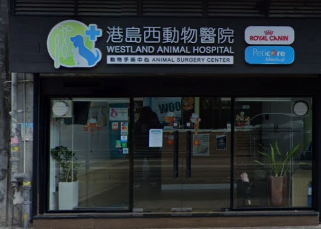 港島西動物醫院