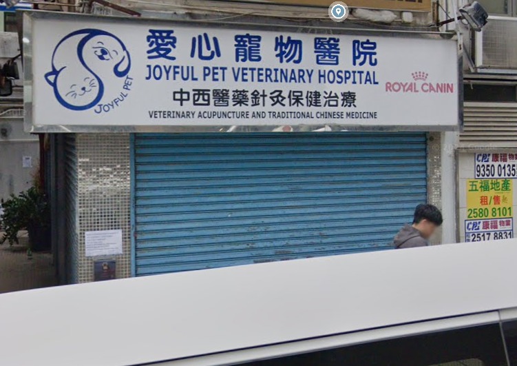 愛心寵物診所