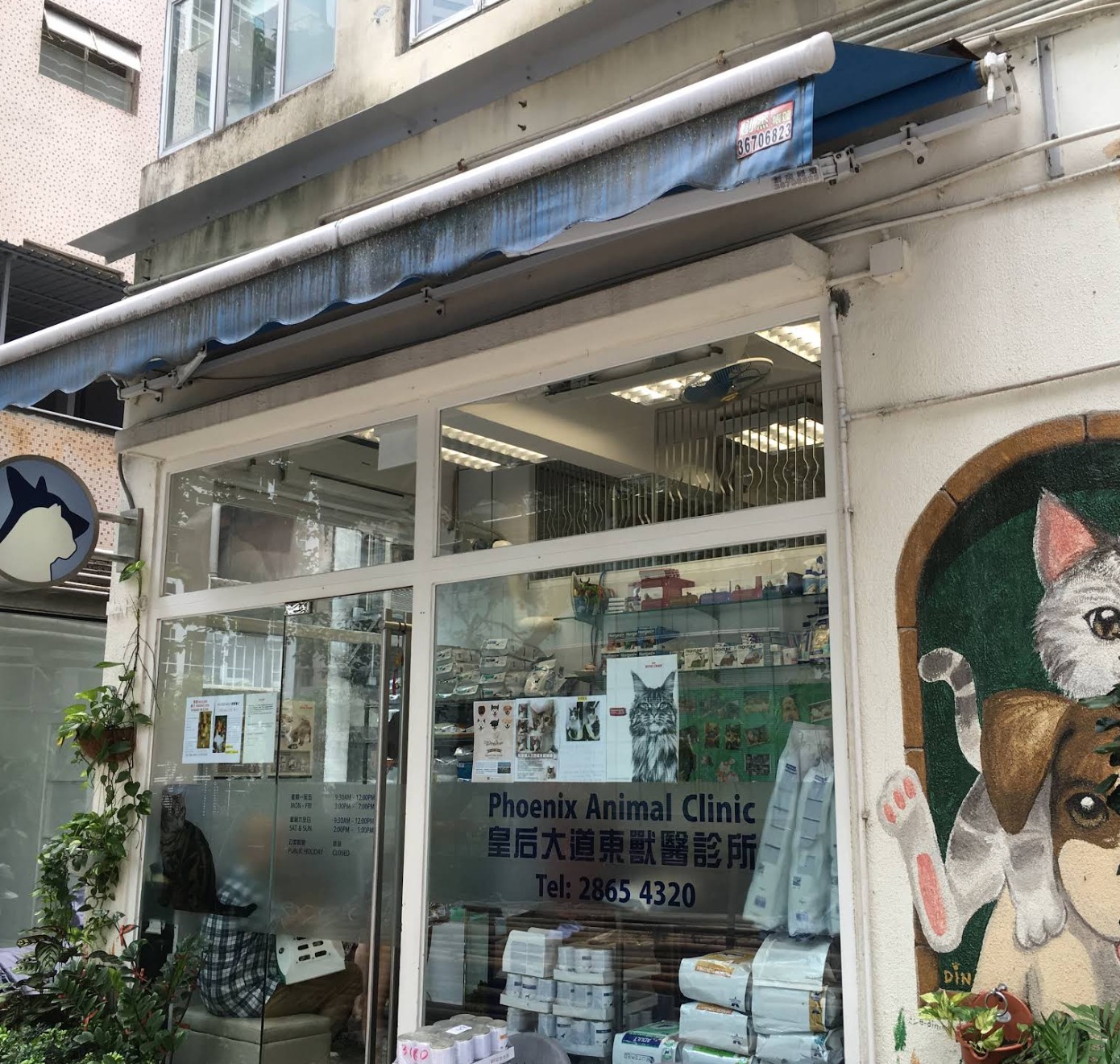 皇后大道東獸醫診所