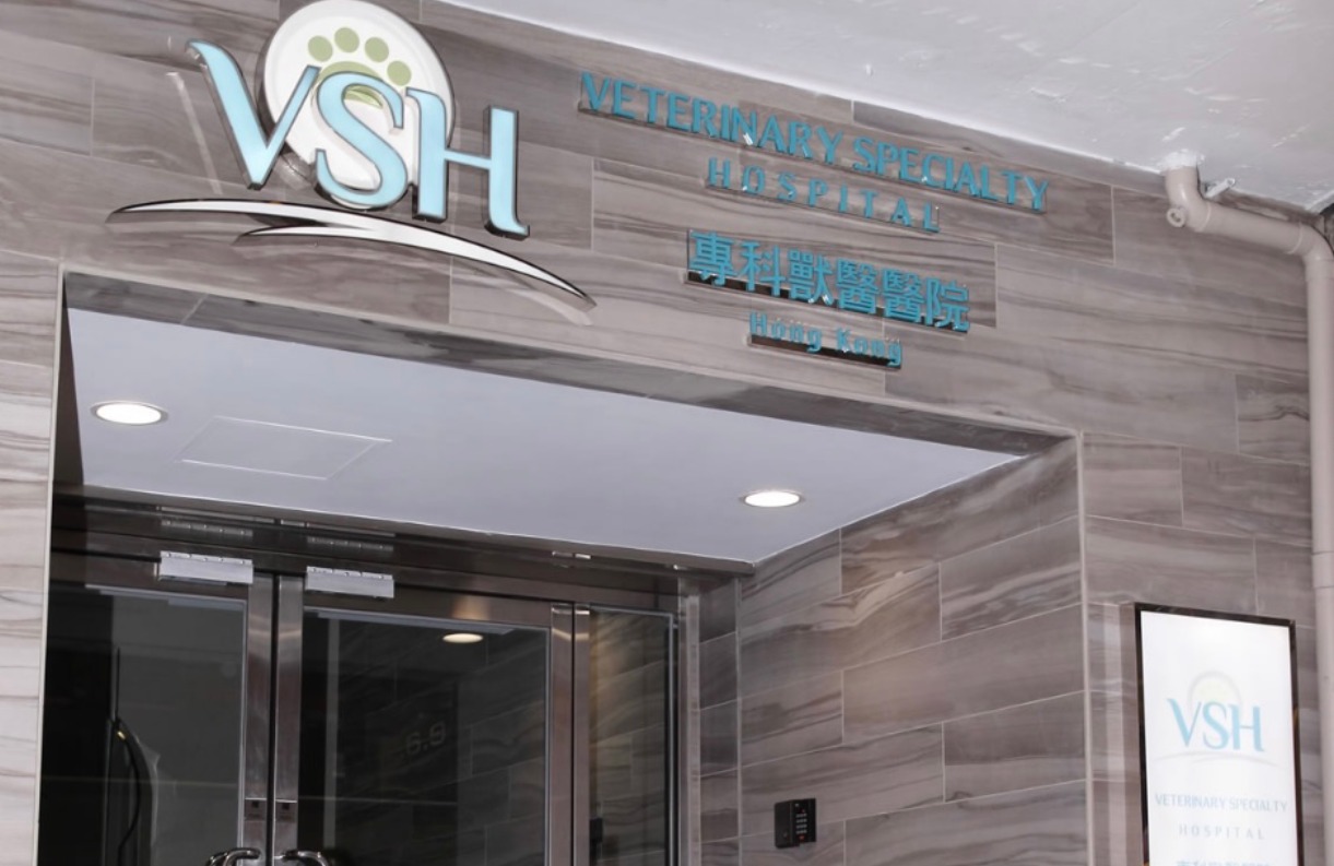 VSH 香港專科獸醫醫院