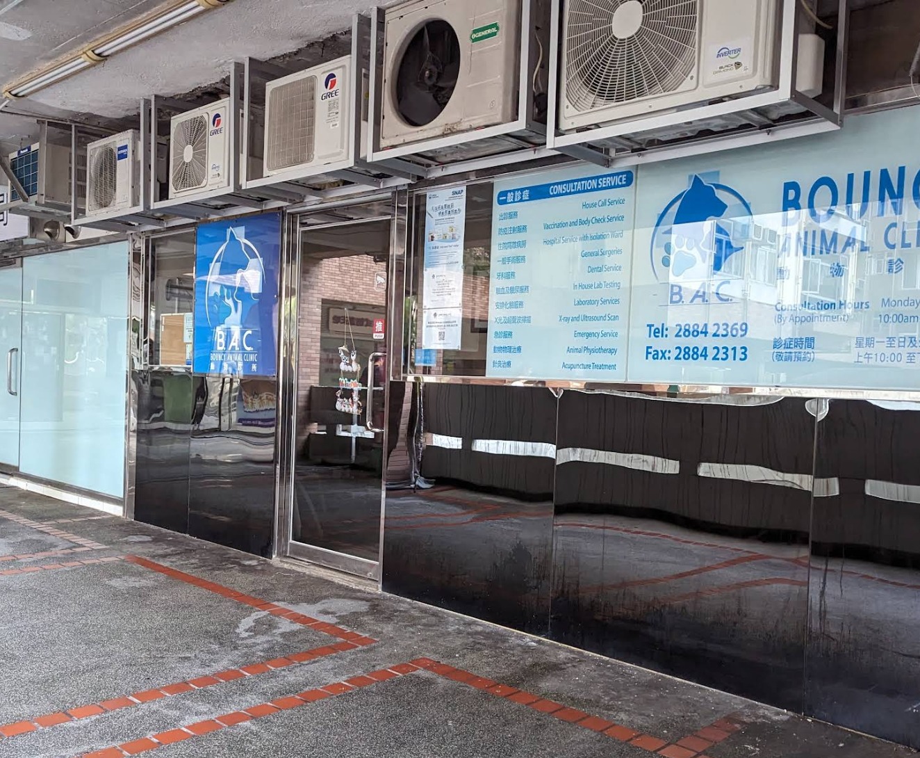 Bouncy Animal Clinic 