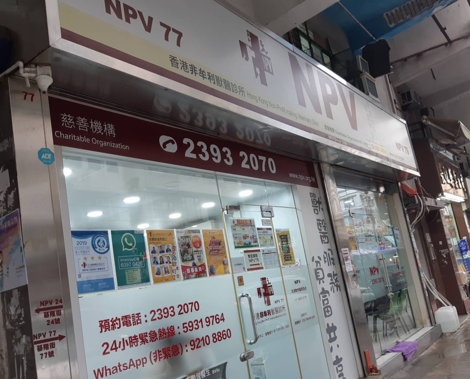 獸醫診所〉彙整頁面- pettodaynews